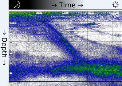 Echogram